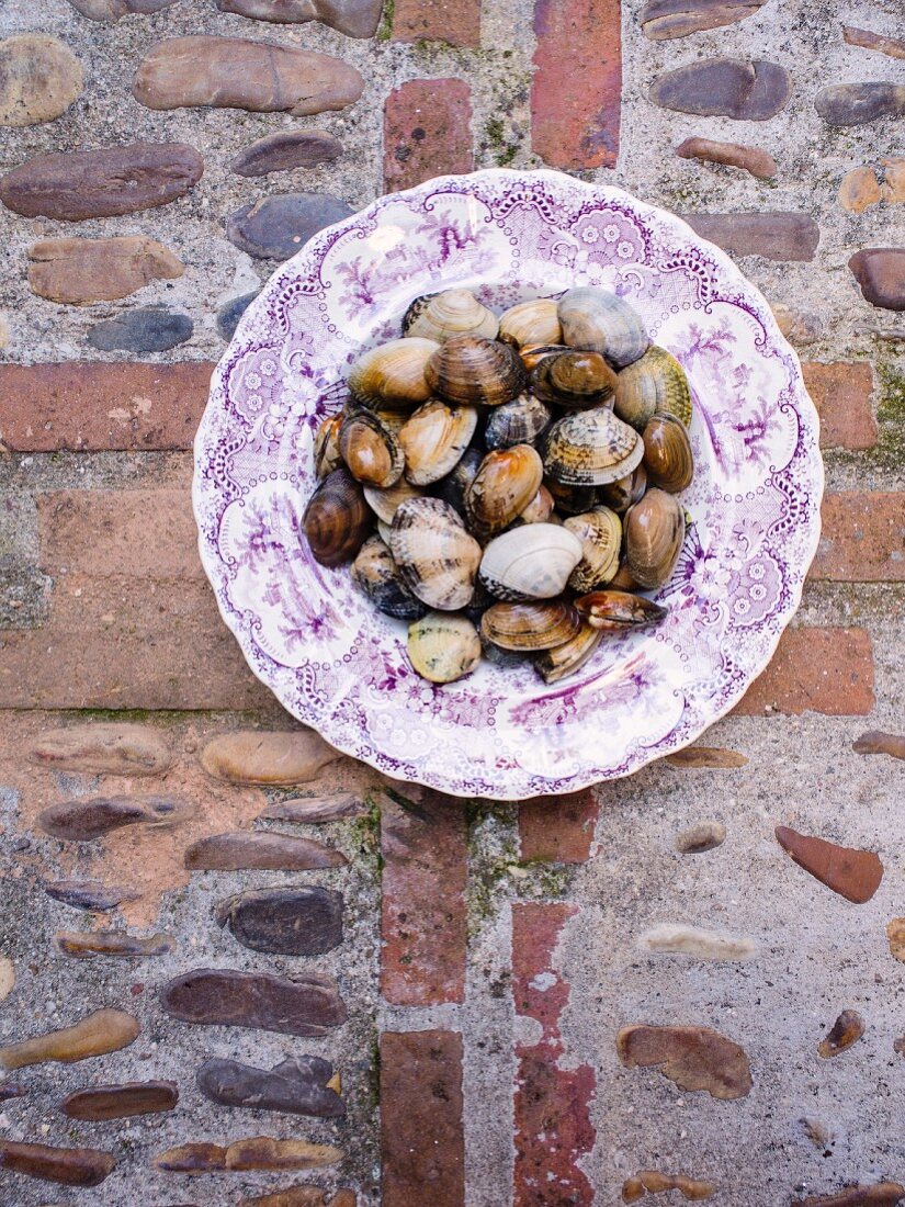 Muscheln auf Teller