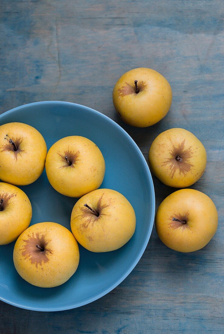 Frische gelbe Äpfel auf blauem Teller