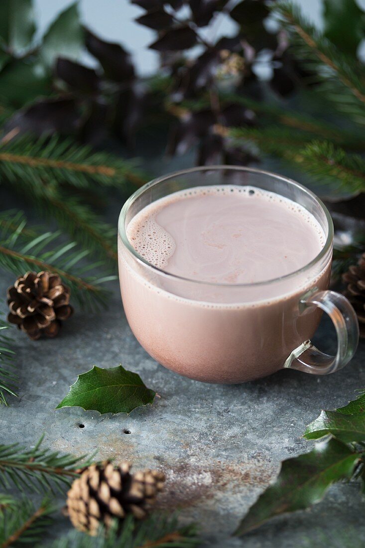 Hot cocoa in a glass cup