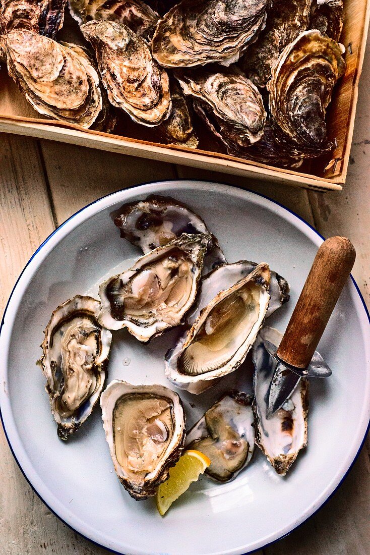 Fresh oysters (Marennes D'Oleron) with an oyster knife and lemon wedges