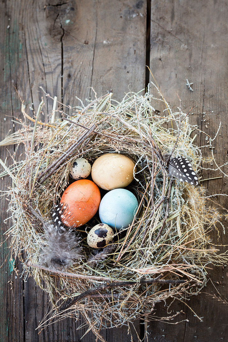 Various eggs in a nest made of straw and feathers