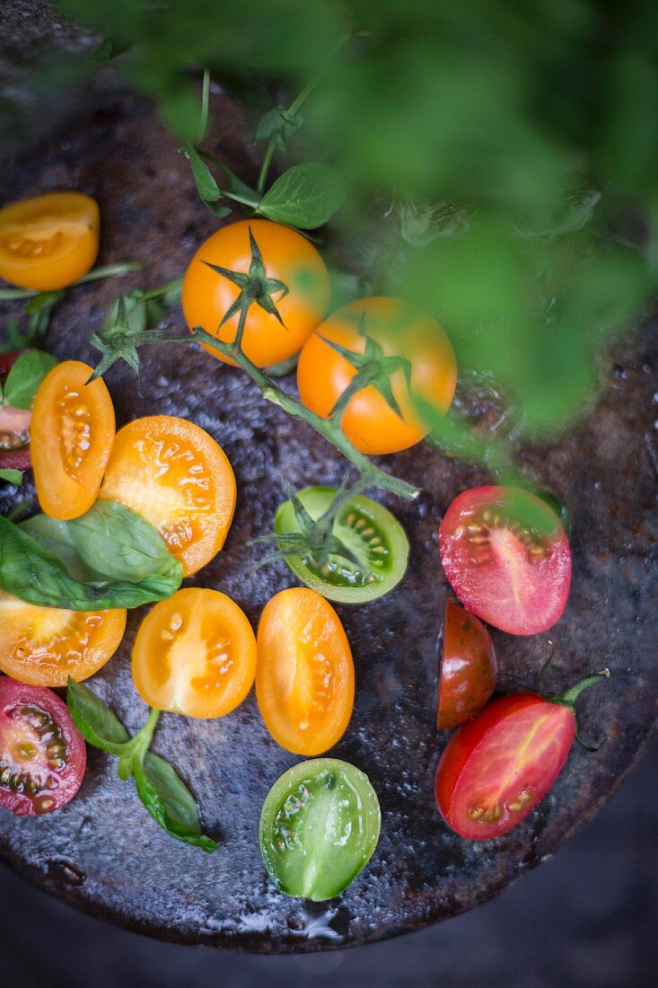 Aufgeschnittene Tomaten auf Metallteller im Garten