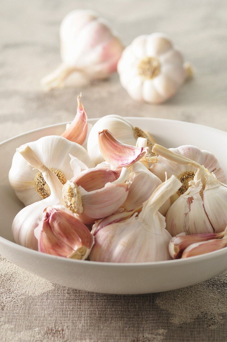 Garlic in a white bowl