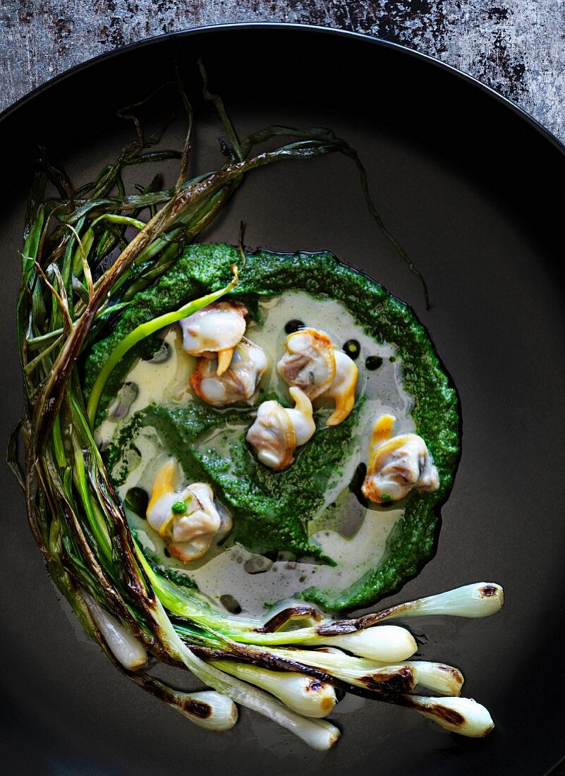 Broccoli purée with young grilled garlic and mussels
