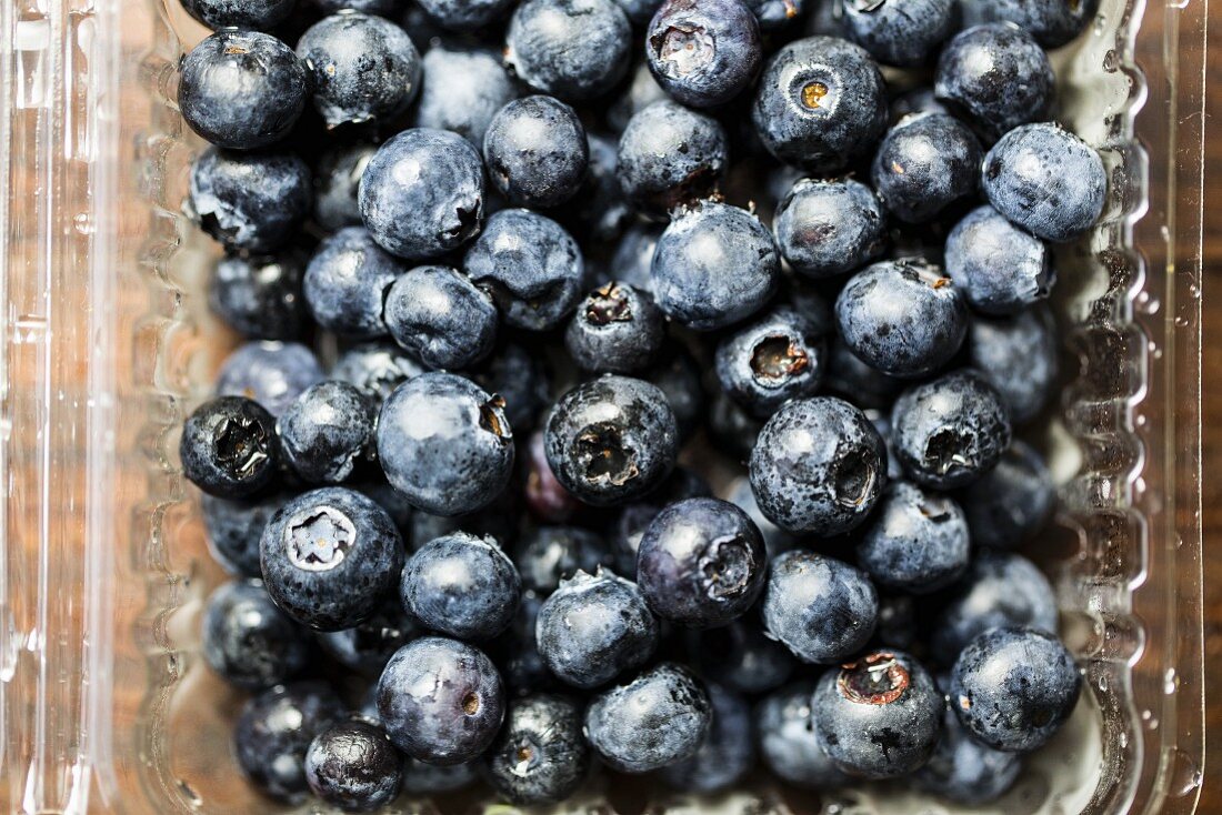 Blaubeeren in einer Plastikschale