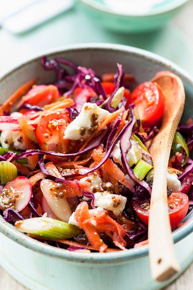 A mixed salad with tomatoes, red cabbage and spring onions