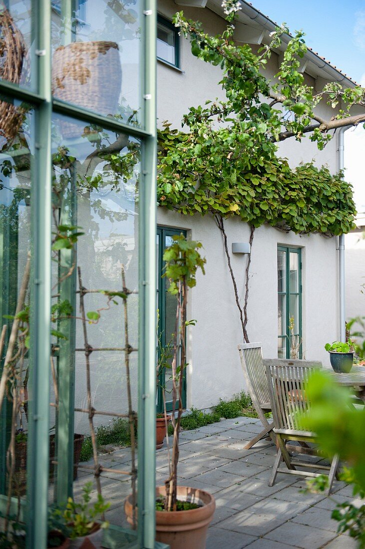 View of terrace with seating area next to climber-covered house façade and corner of conservatory