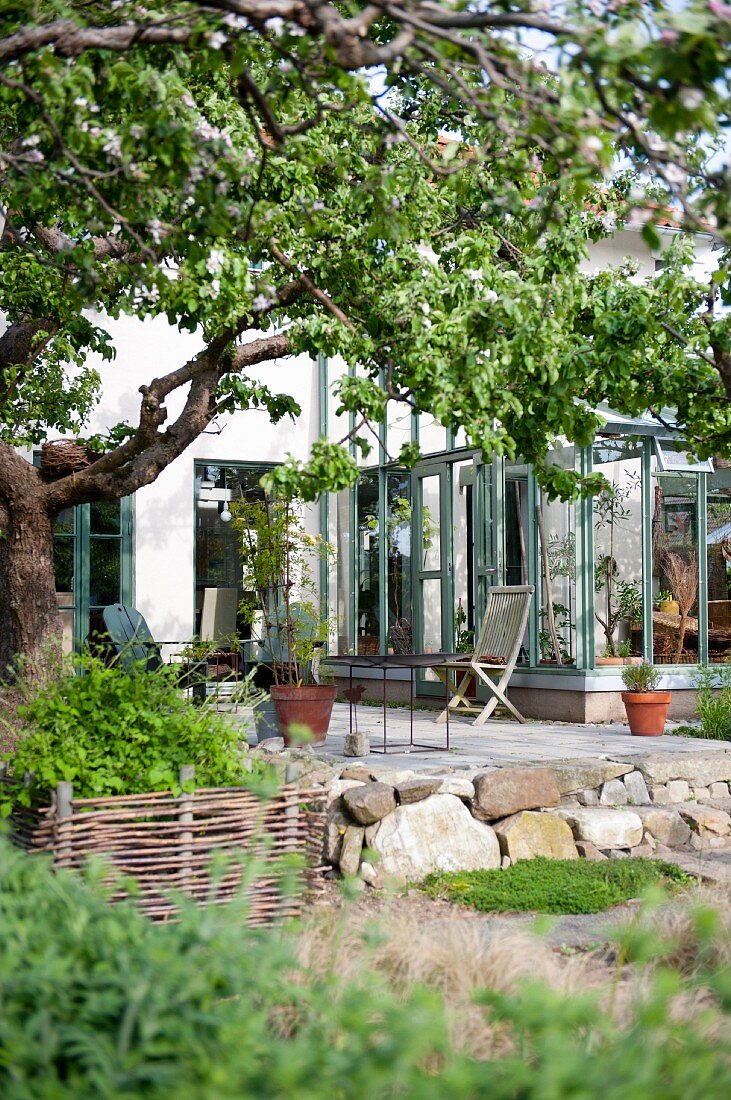 Blick vom Garten auf Terrasse vor zeitgenössischem Wintergartenanbau