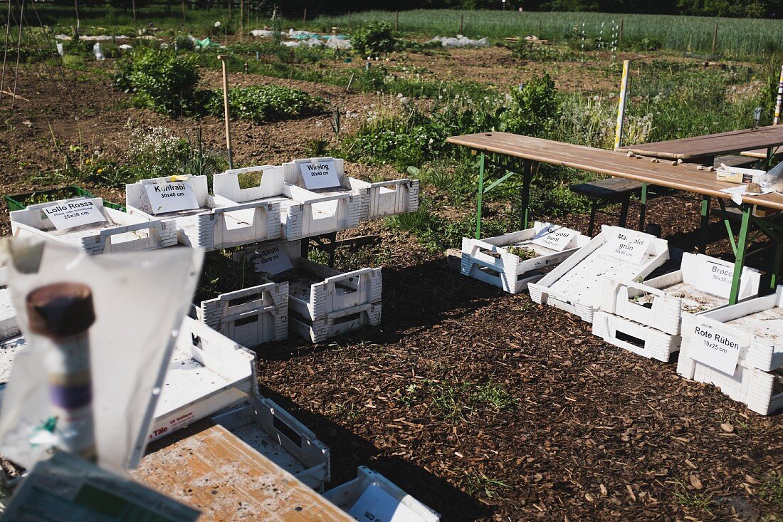A garden plot with empty vegetable crate and picnic tables in the foreground