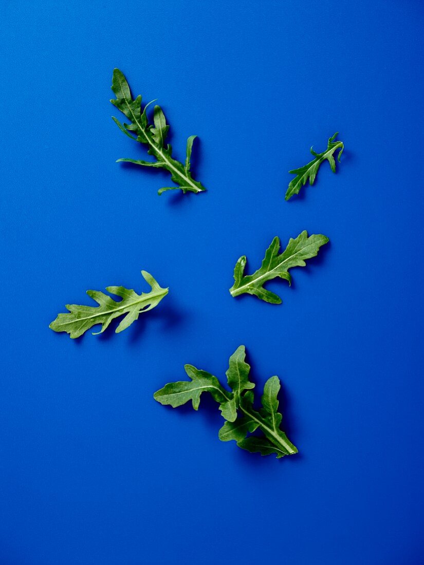 Rocket leaves on a blue surface