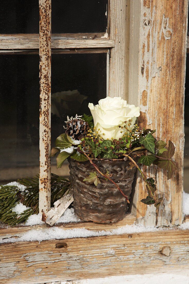 White rose and ivy in plant pot drizzled with wax