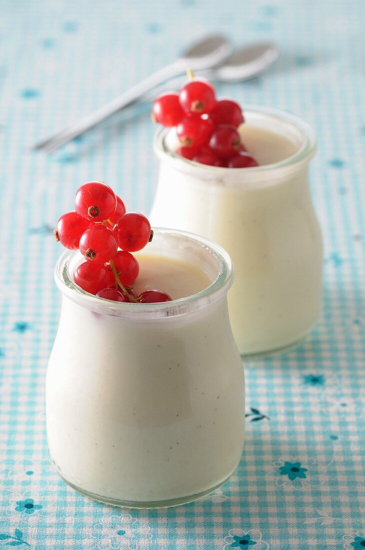 Zwei Gläser Joghurt mit roten Johannisbeeren