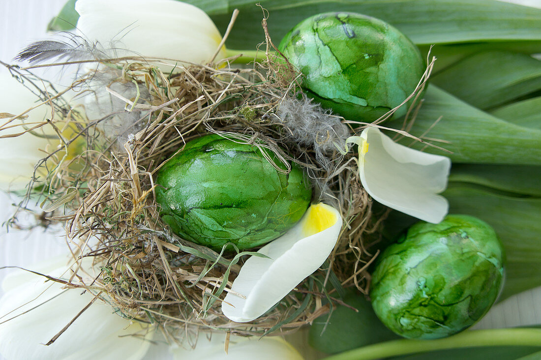 Grün gefärbte Ostereier mit weißen Tulpen