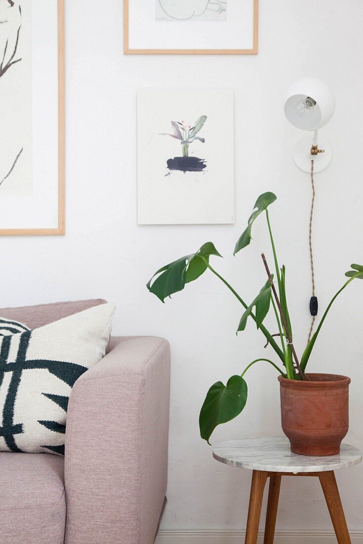 Plant on round side table next to sofa