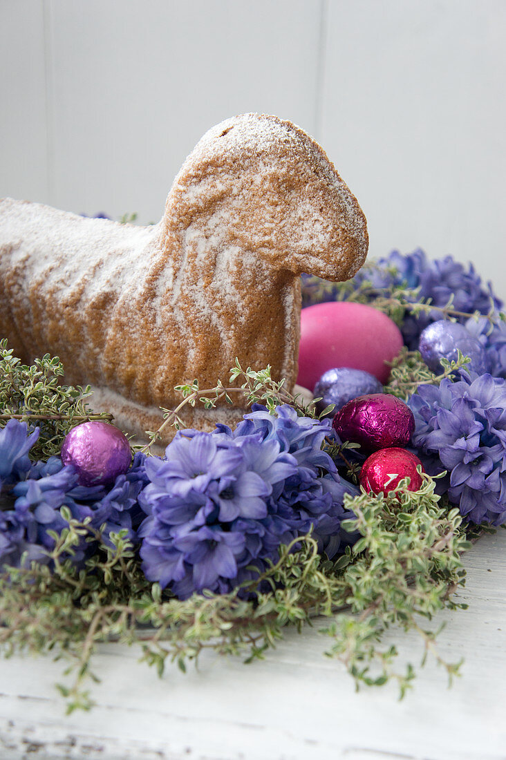 Easter lamb cake in nest of hyacinths and thyme