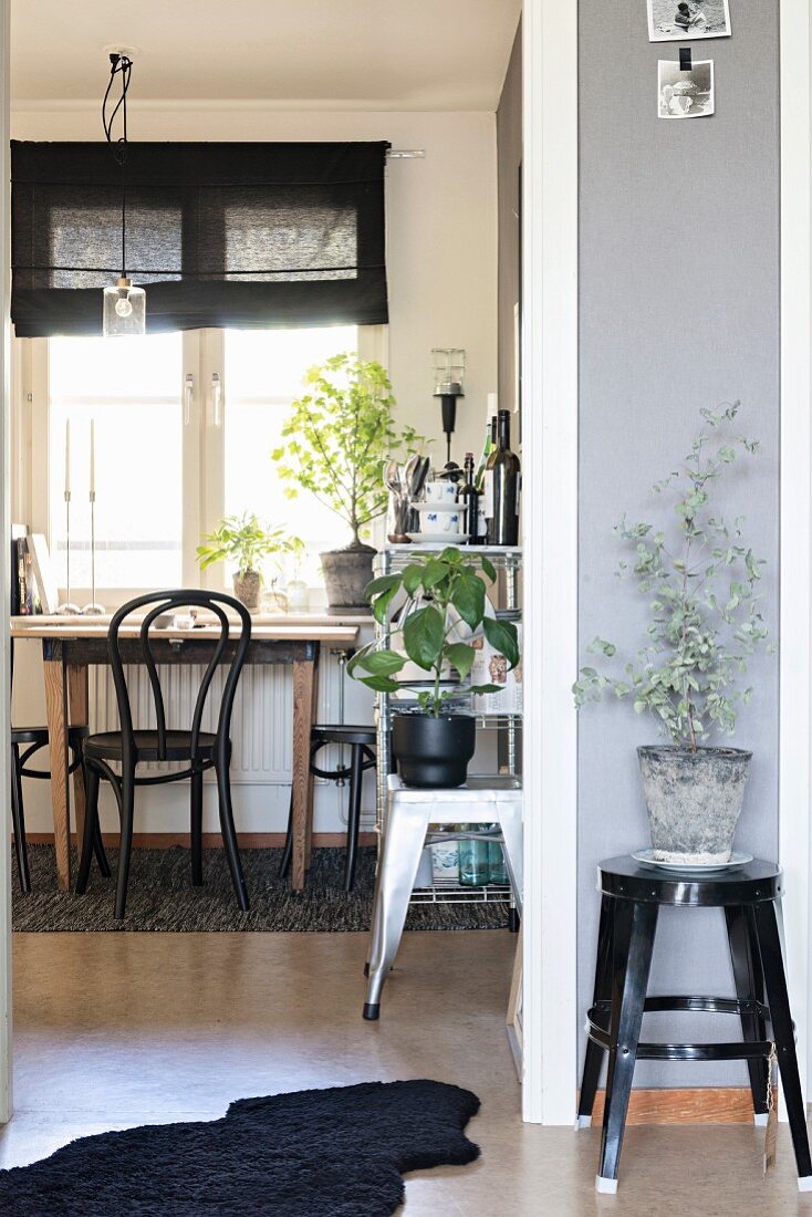 House plant on black metal stool next to open doorway with view of bistro-style dining area below window