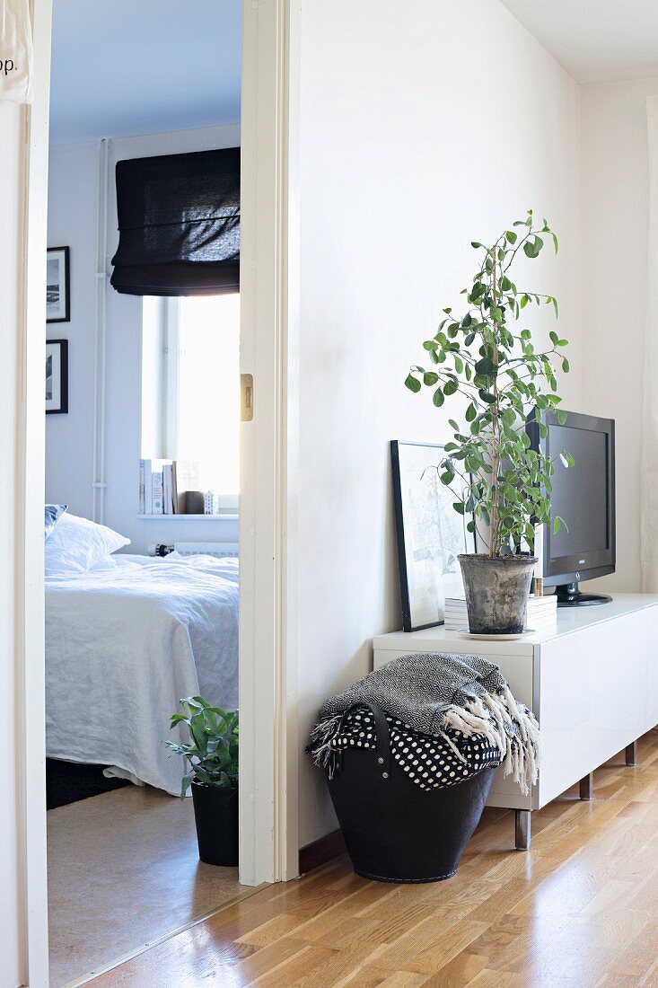 Blankets in black firewood basket next to house plant in living room and view into bedroom