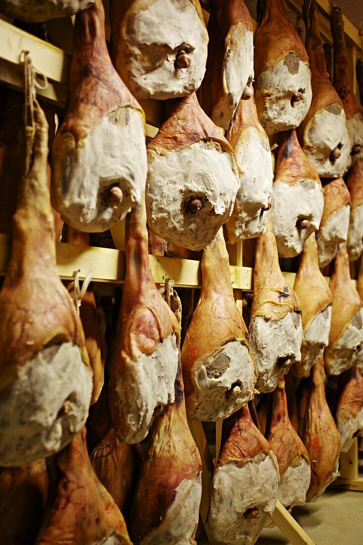 Country ham in a ripening cellar