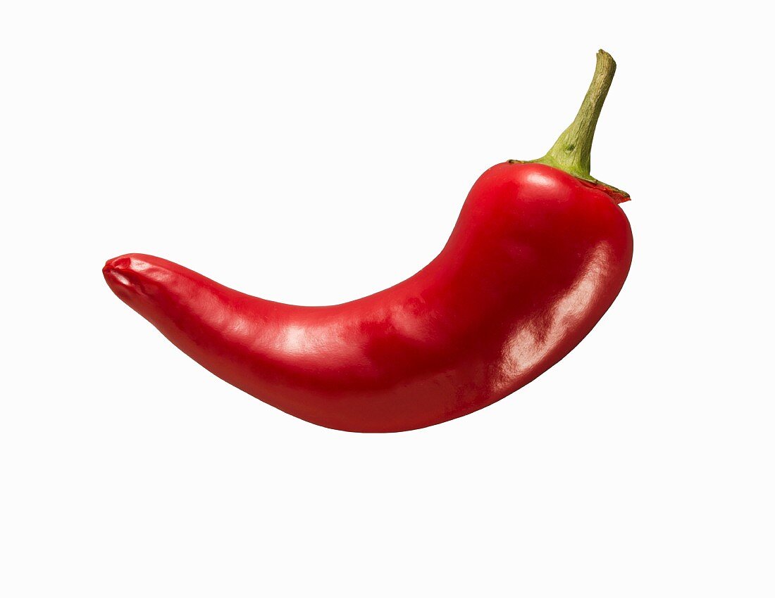 Eine rote Chilischote vor weißem Hintergrund
