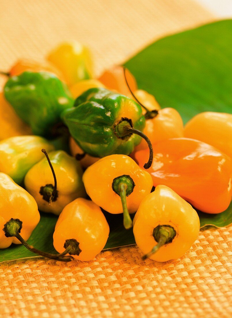 Green and yellow Habanero peppers