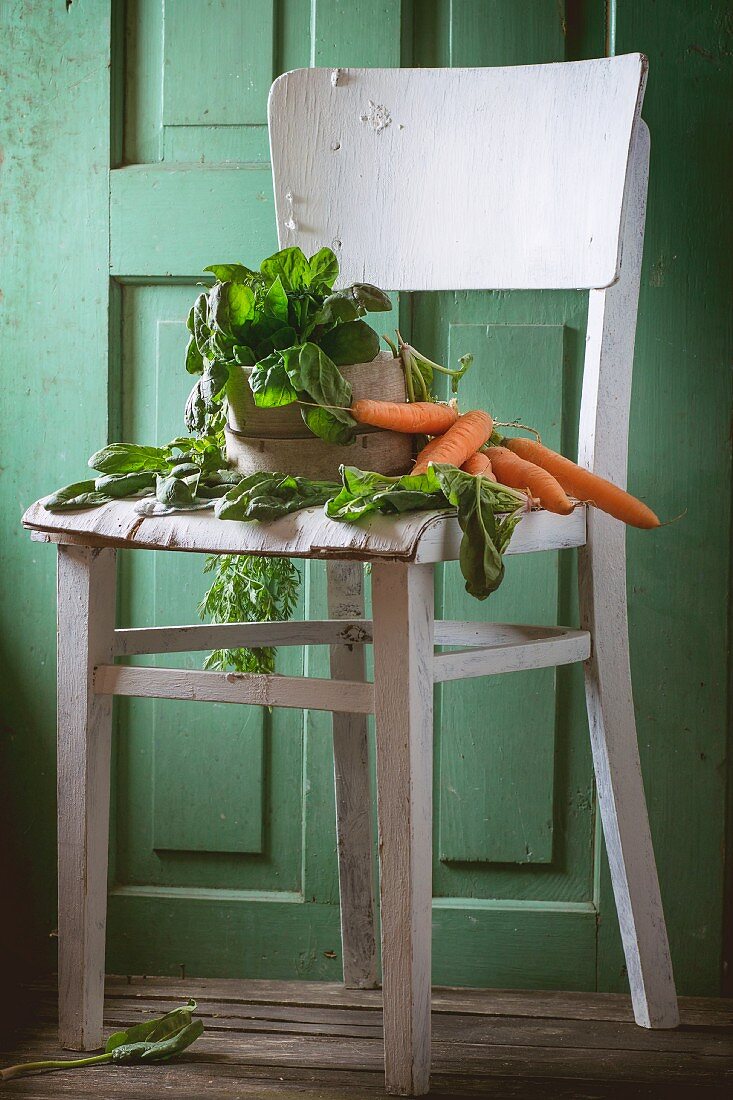 Frischer Spinat und Karotten auf altem weißen Holzstuhl vor grüner Holzwand