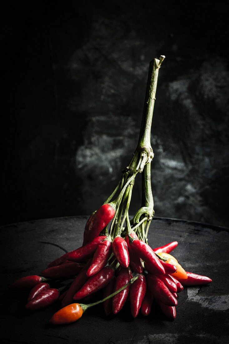 A sprig of red chilli peppers