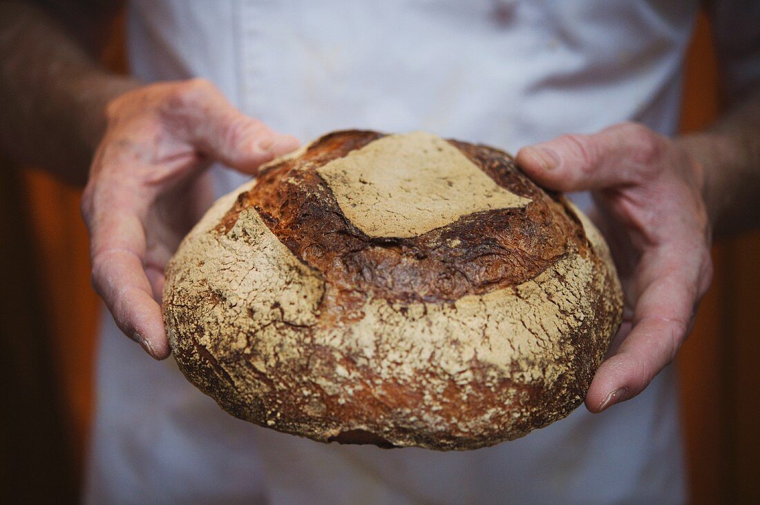 A baker holding a loaf of bread, London, England