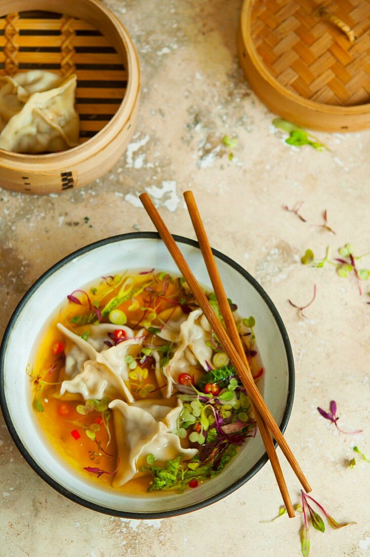 Wan-Tan-Suppe mit Chiliringen (Asien)