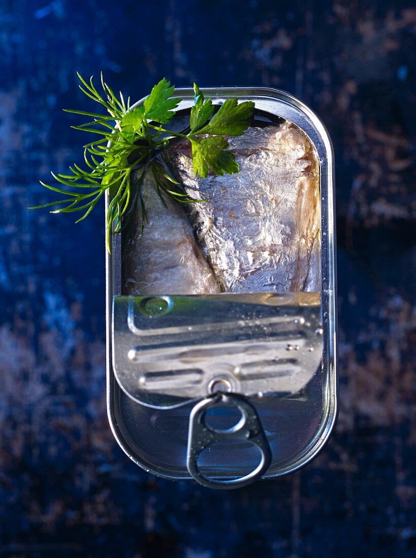 Oily sardines in a tin with dill and flat leaf parsley (seen from above)