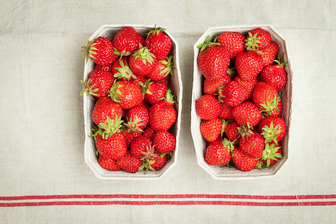 Zwei Pappschälchen mit frischen Erdbeeren (Aufsicht)