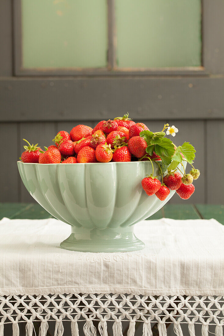 weiße Schale mit frisch gepflückten Erdbeeren auf Tisch