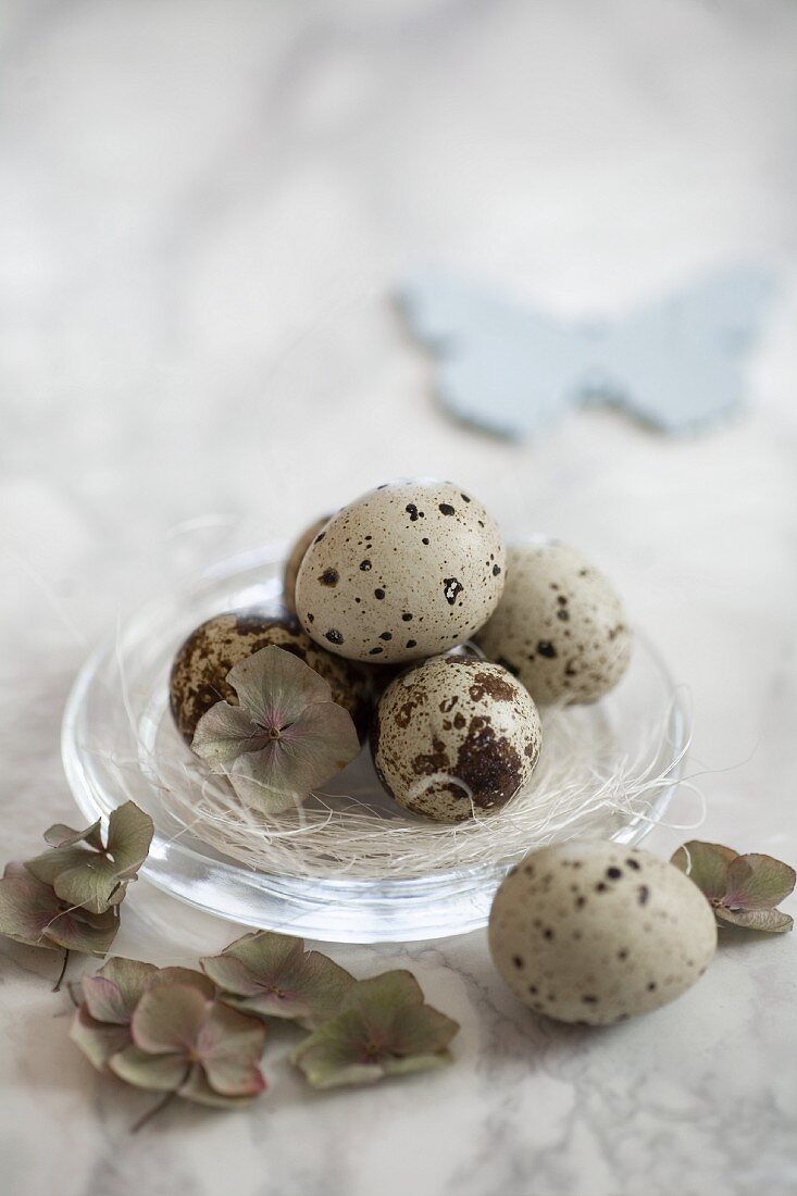 An Easter nest of quail's eggs on a glass plate