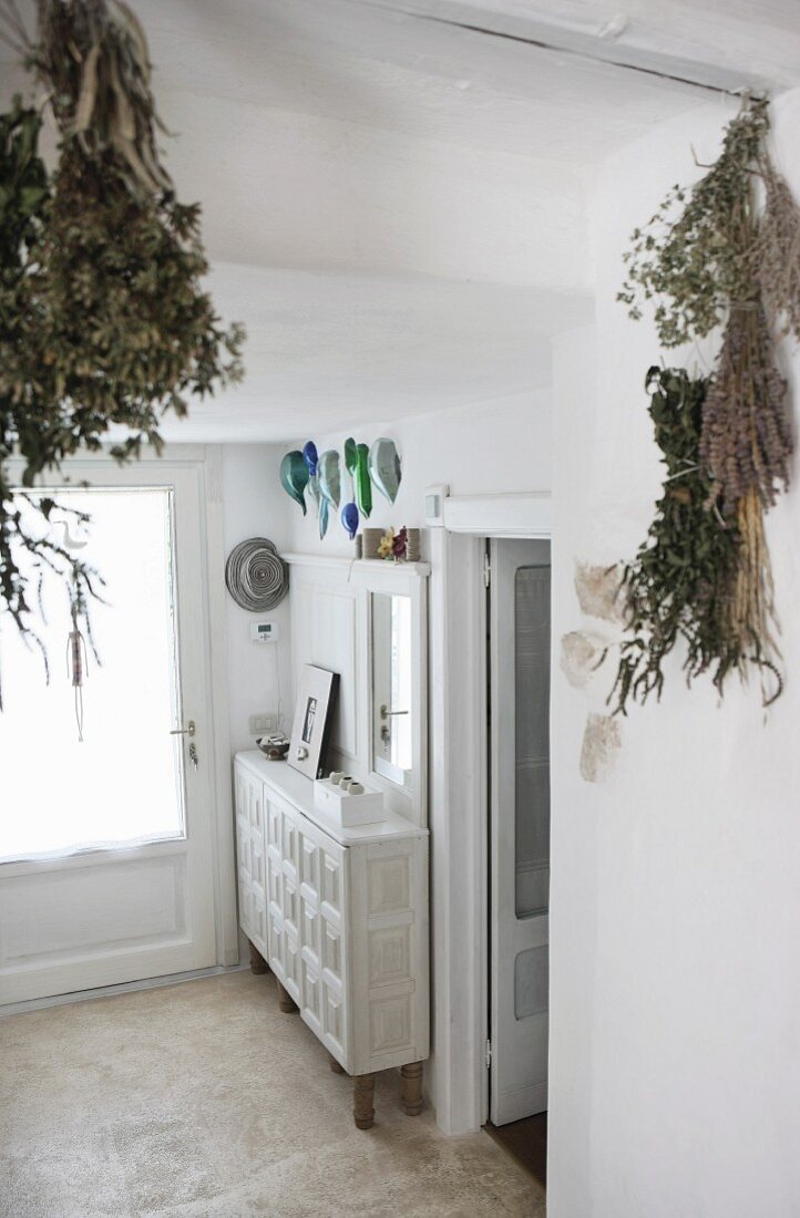 Dried herbs hanging from ceiling