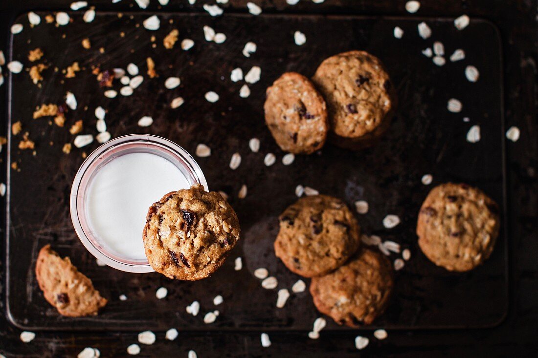 Oat cookies with raisins and chocolate chips served with a glass of milk
