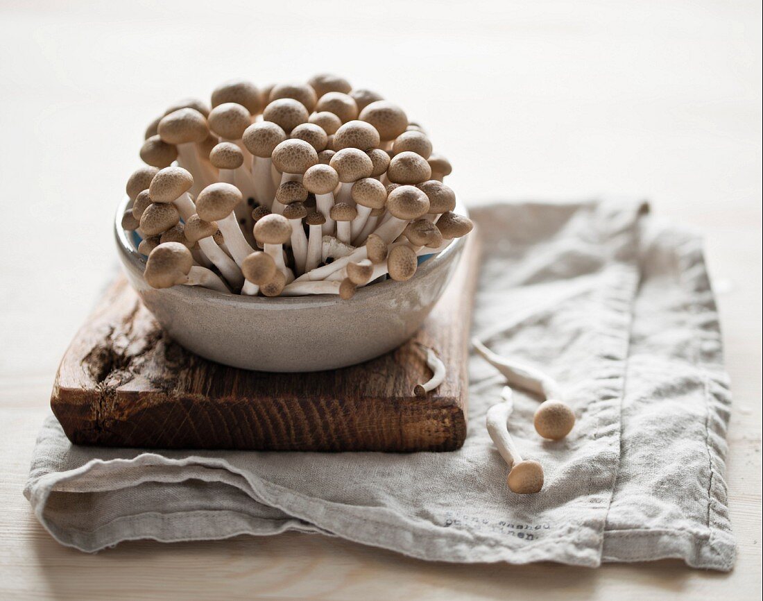 Frische Shimeji-Pilze in Keramikschale auf Schneidebrett
