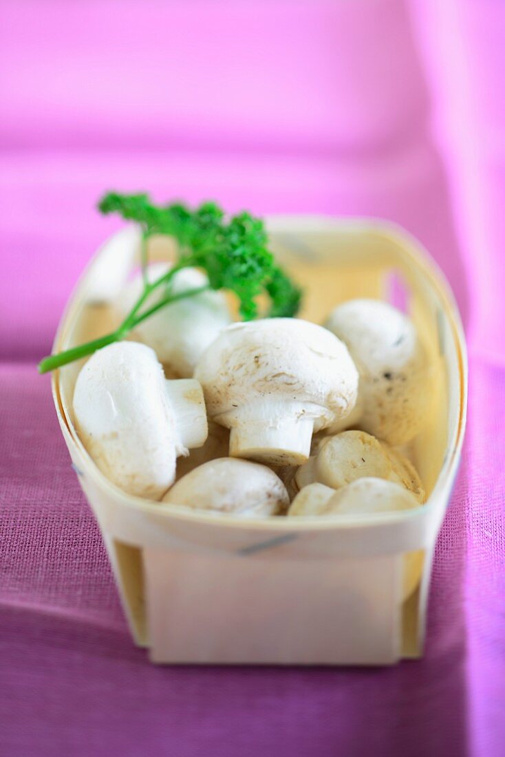 Frische Champignons im Spankorb