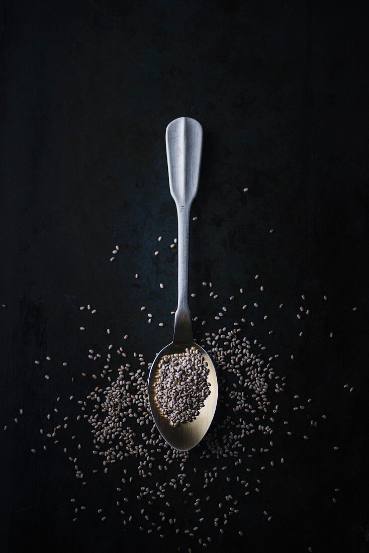 Chia seeds on a spoon (seen from above)