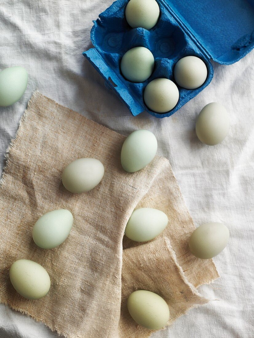 weiße Eier und blauer Eierkarton