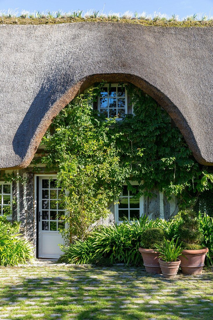 Thatched house with paved courtyard