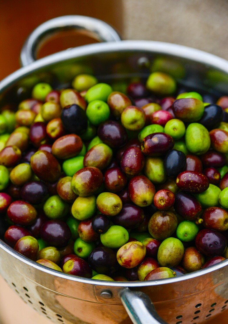 Frisch gewaschene Oliven im Küchensieb