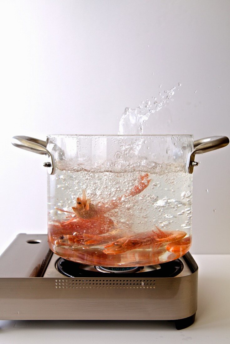 Shrimps im Glastopf kochen