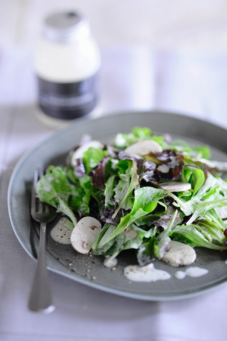 A mixed leaf salad with mushrooms and a yoghurt dressing