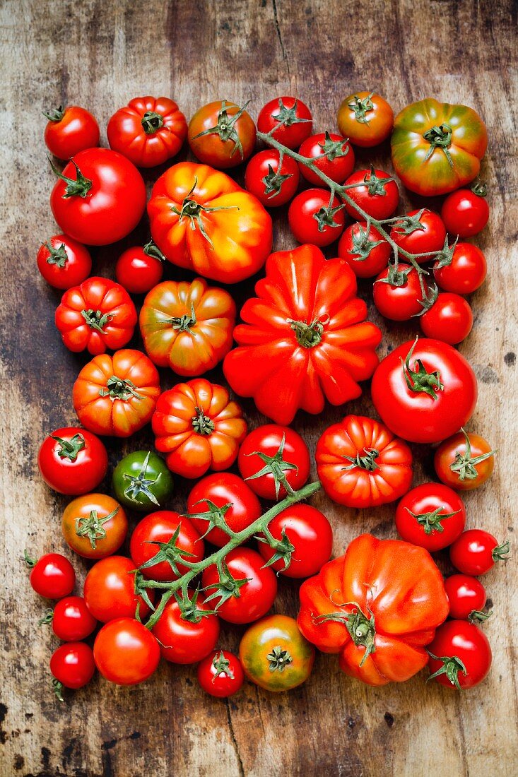 Lots of different tomatoes are wooden surface