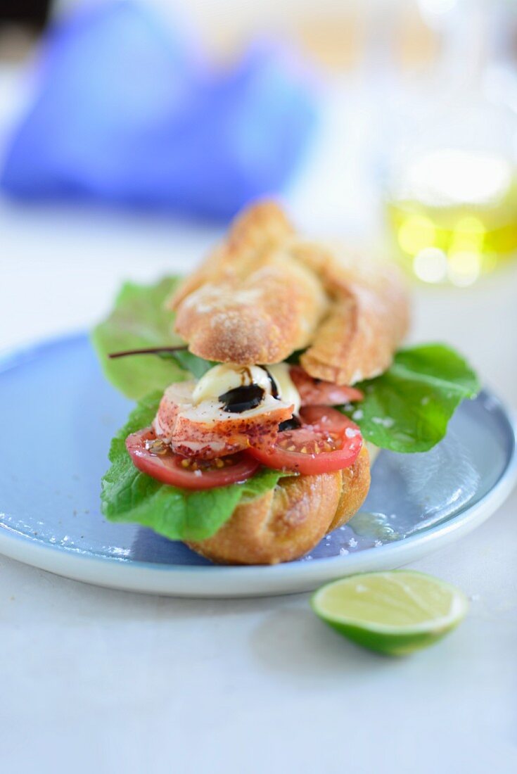 A tomato and mozzarella sandwich