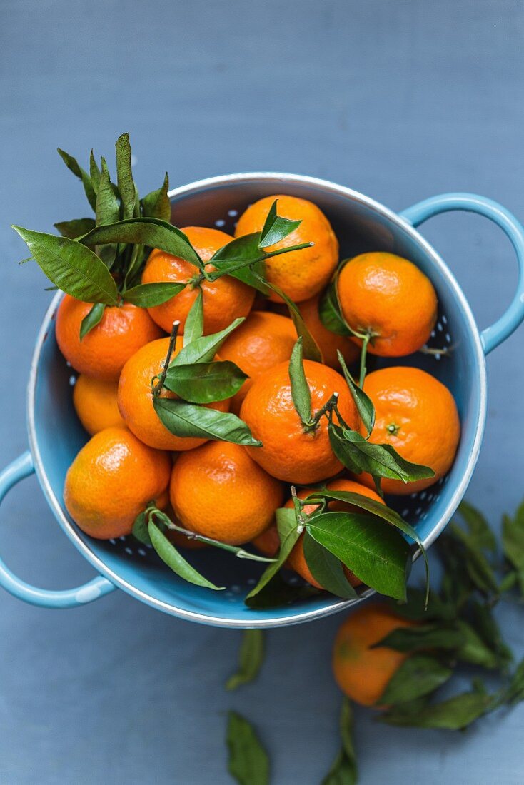 Mandarinen mit Blatt in blauem Sieb