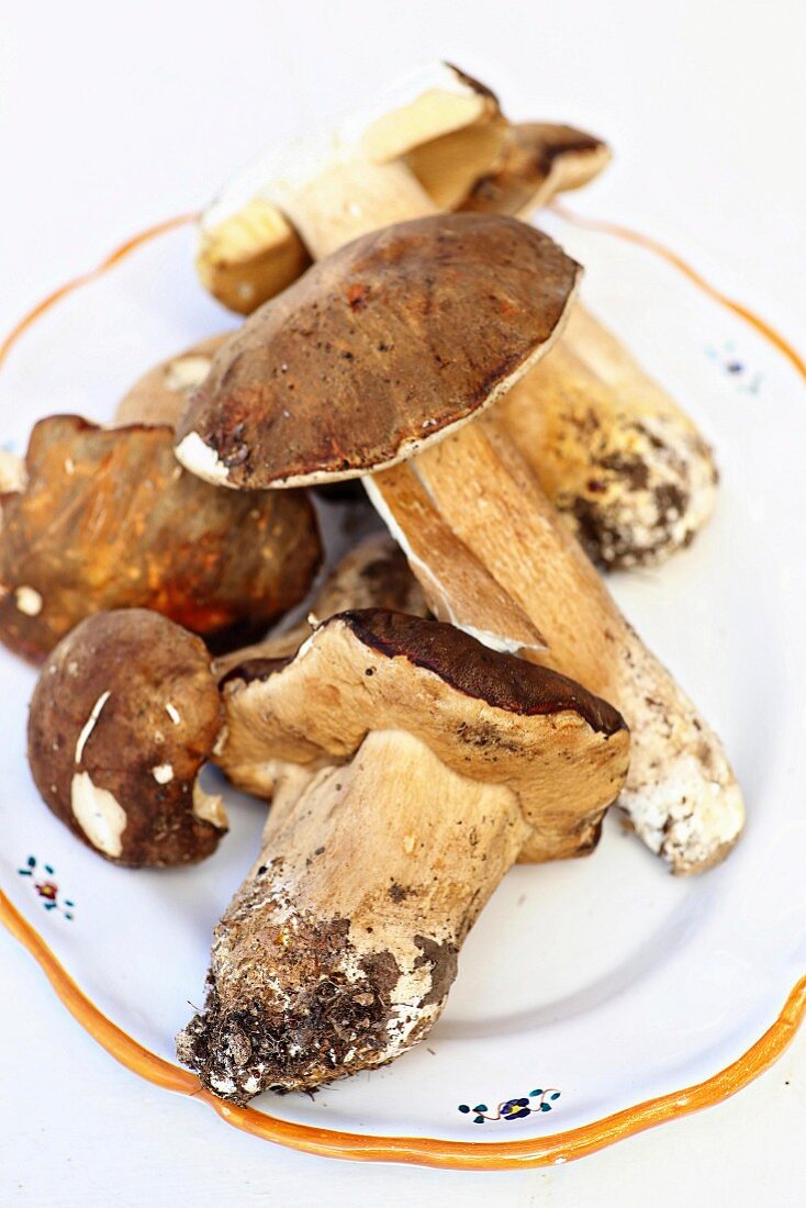 Fresh porcini mushrooms on a rustic plate