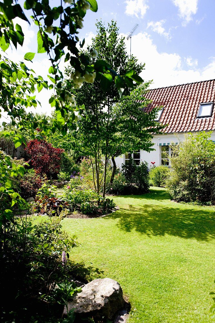 Staudenbeet mit Baum in gepflegtem Rasen vor Landhaus