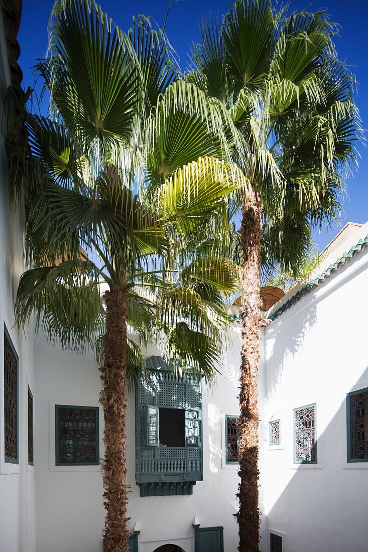 The inner courtyard with palm trees at the Hotel Ryad Dyor, Marrakesh, Morocco