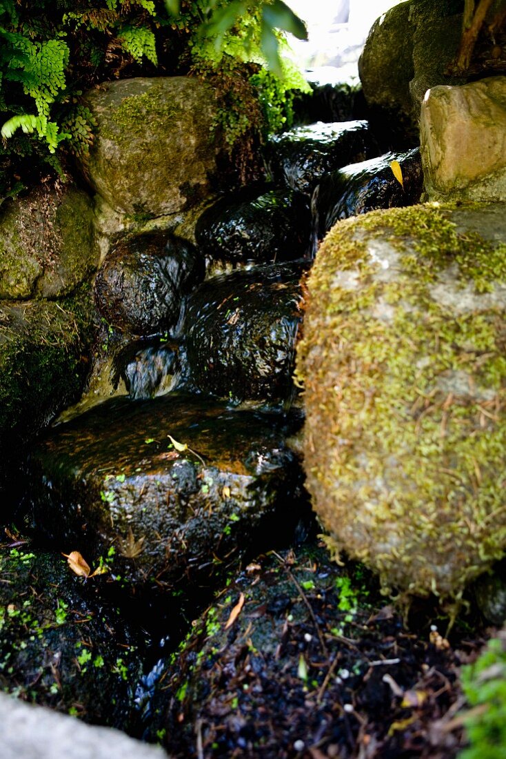 Mossy waterfall in garden