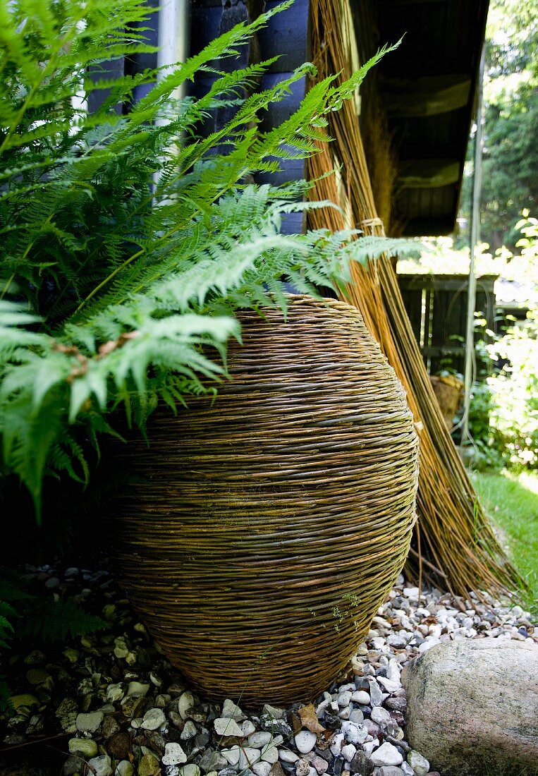 Vase-shaped basket and fern on gravel floor in garden